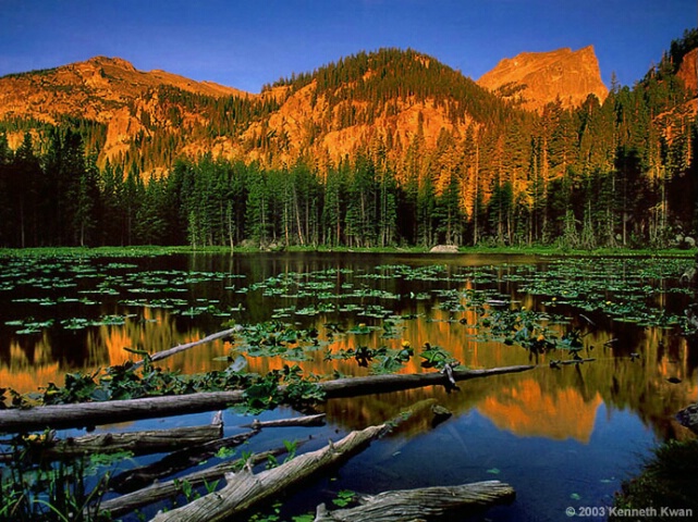 Alpine Lily Pond