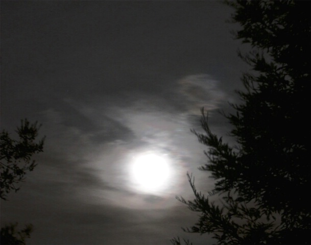Cloudy Moon