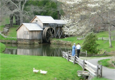 Spring Time at the Mill