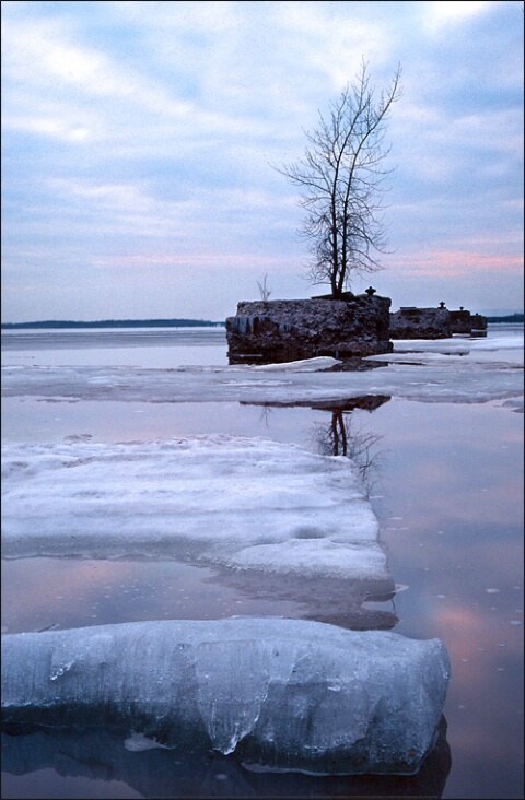 Iced