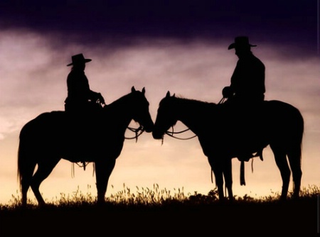 horses in silhouette