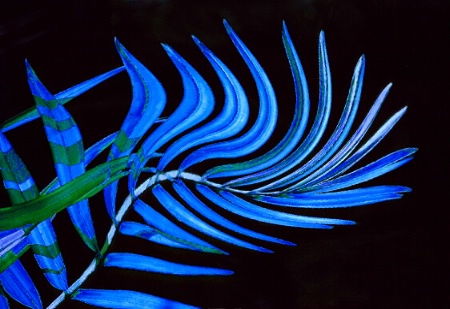 Blue Palm Swirl