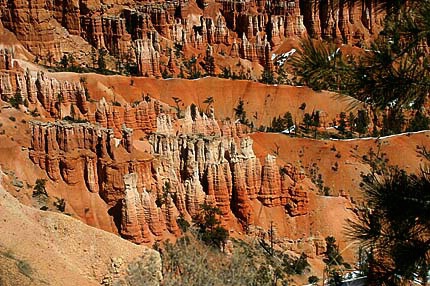 Bryce Amphitheater Overview