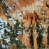 © Donald E. Chamberlain PhotoID# 366615: Bryce Canyon Close Up