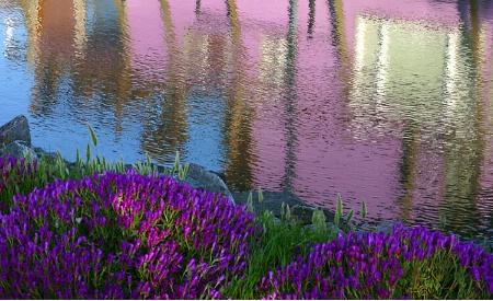 Houseboat reflection