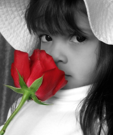 Hiding behind the Red Rose