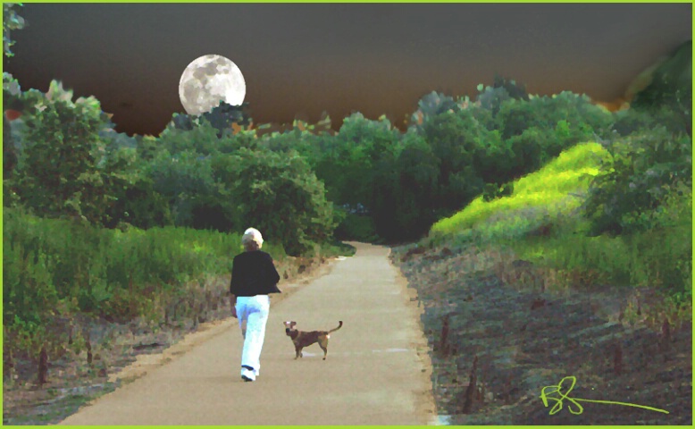 ~Moonwalk~