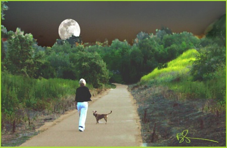 ~Moonwalk~