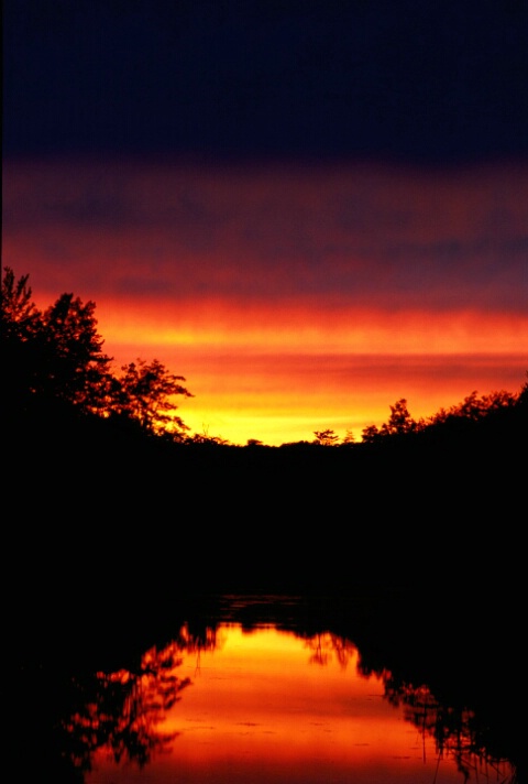 Sunset Over Pond