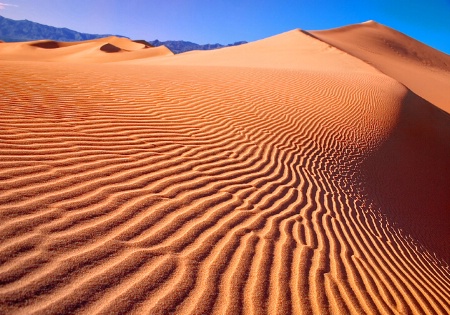 magic of  desert...