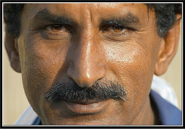 Pakistani worker at Fish market