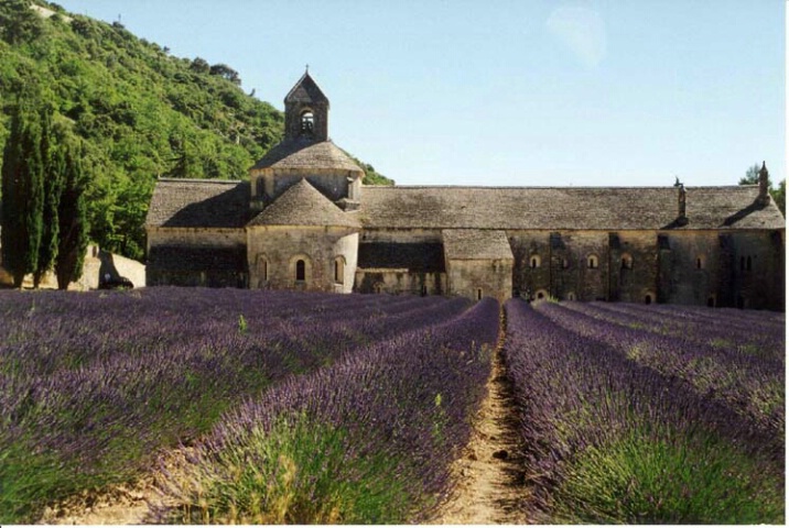 (F)-Lavender Field & Abbey - Senanque