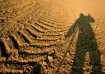 Self Silhouette