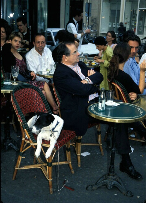 The French Love Their Dogs - ID: 375842 © John T. Sakai