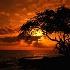 © John T. Sakai PhotoID# 375856: Wailea Sunset