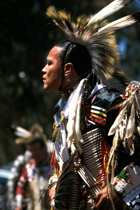 Native American Profile - ID: 375886 © John T. Sakai