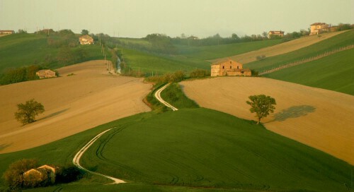 Tuscany landscape 1