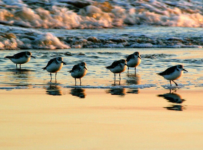 On the Beach