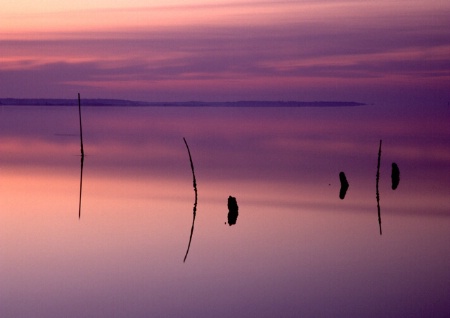 Dawn at Core Banks