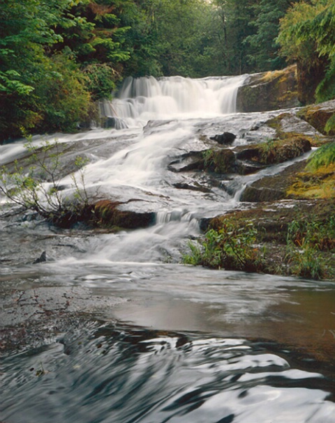 Alsea Falls, Oregon - USA
