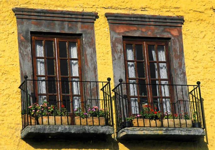 Windows in Yellow Wall