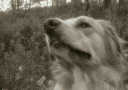 Stop and Smell the Flowers