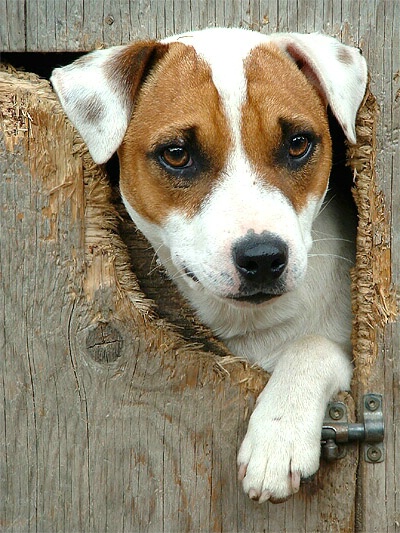 bum, the locked-in lookout