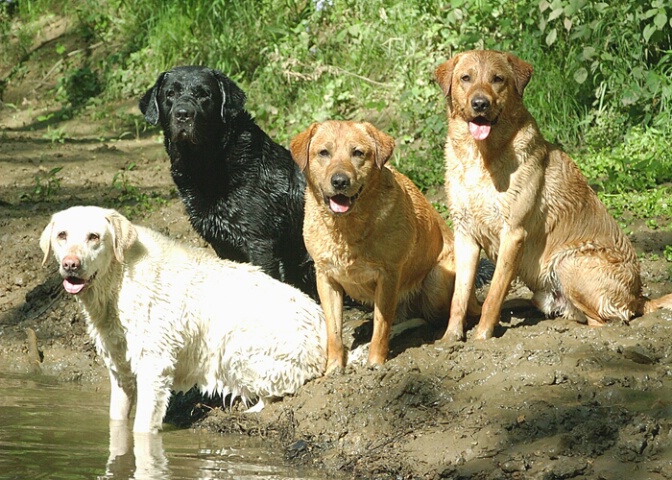 Wet & Happy - a Family Portrait