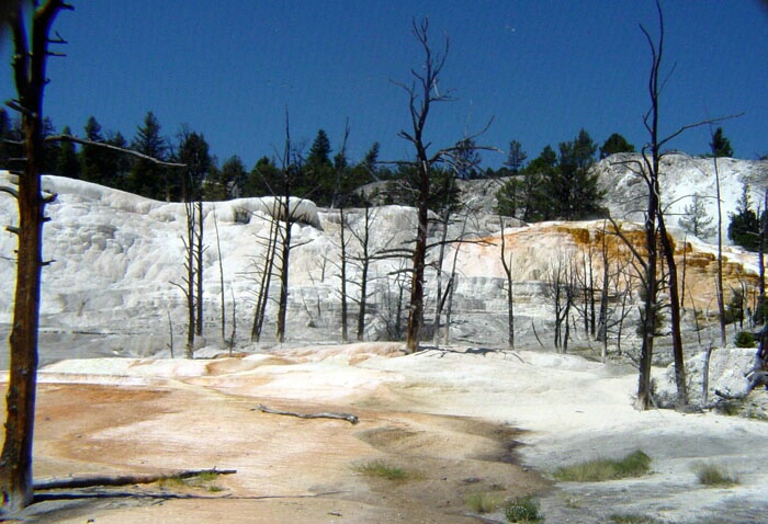 Mammoth Hot Springs