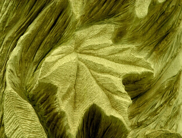 Stoned Leaf