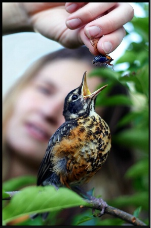 Focus on feeding time