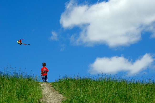 Boy watching kite