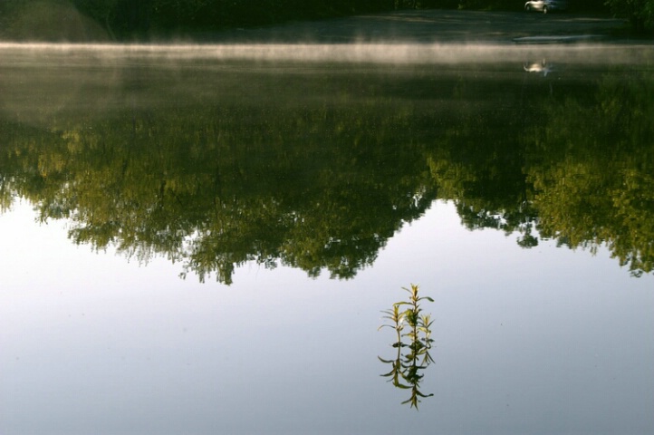Calm Water Morning - from reflection
