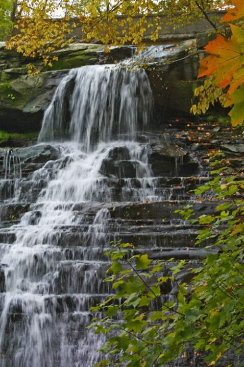 Brandywine Falls 2-Cuyahoga Valley National Park - ID: 423056 © James E. Nelson