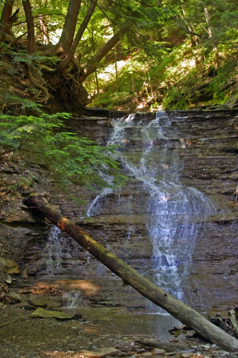 Buttermilk Falls-Cuyahoga Valley National Park - ID: 423057 © James E. Nelson