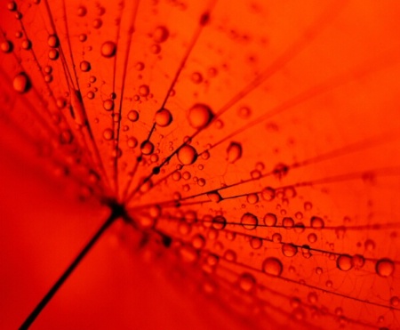 wet fairy on a red lamp