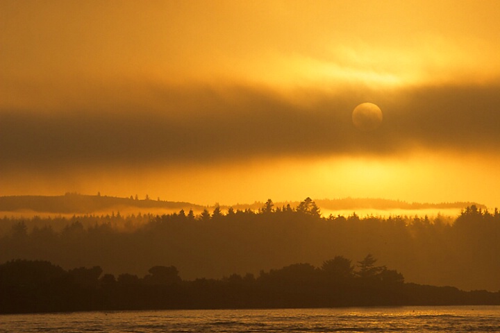 Morning Fog - Bandon, Oregon