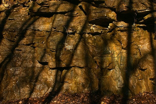 Golden Wet Rocks