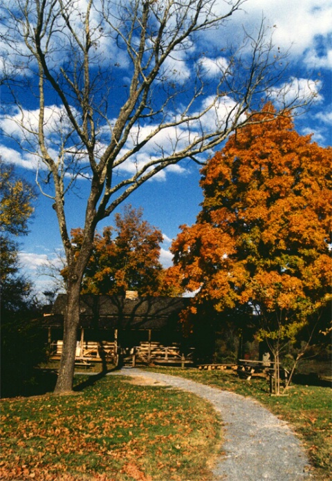 Fall in Tennessee