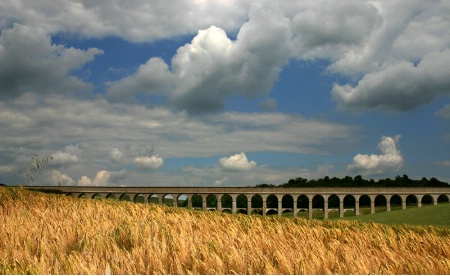 Through the Fields