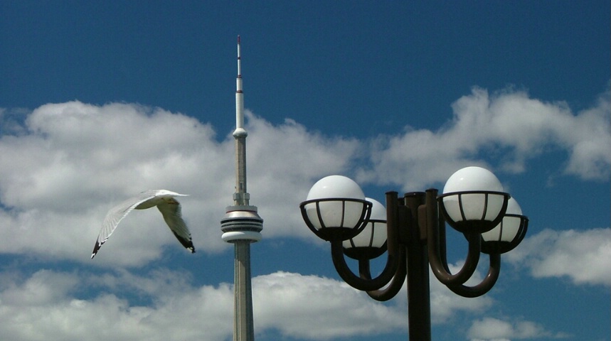 4 with white - sky, seagull, tower, post
