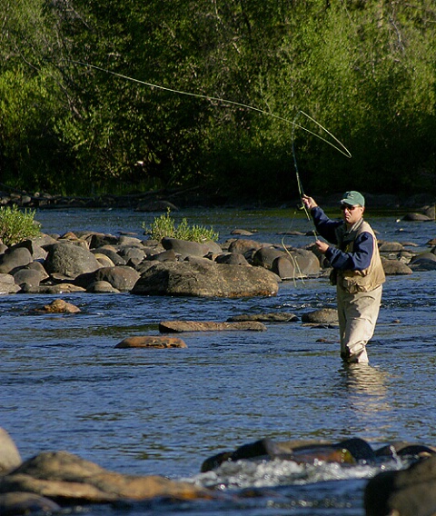 Fisherman