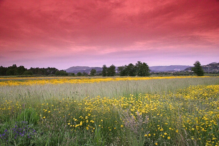 layered nature