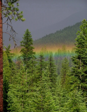 Resting Rainbow