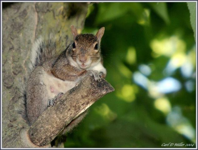 Don't Look at Me Like I'm Nuts