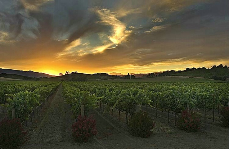 Another Napa Valley sunset