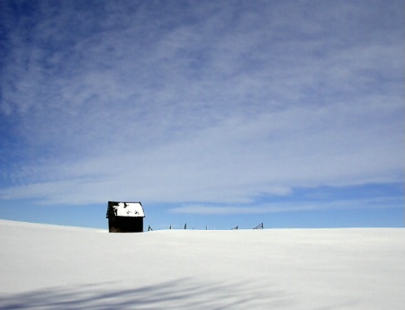 Shed in Snow