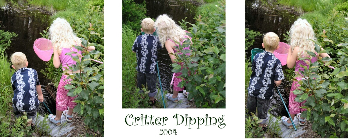 ~Critter Dipping~