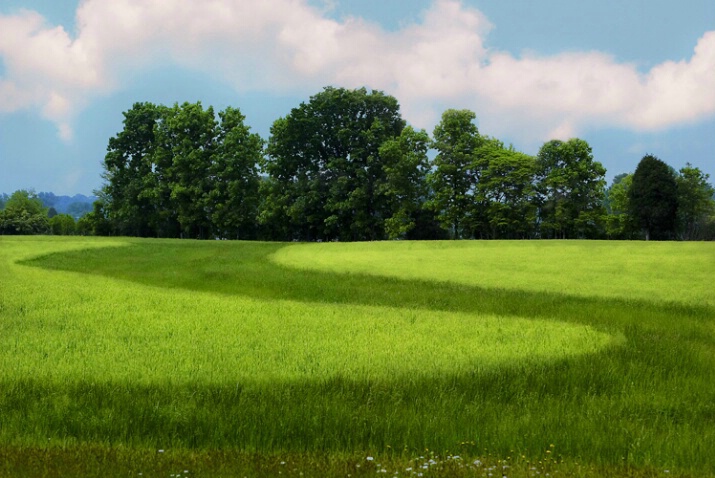 Stream of Wheat