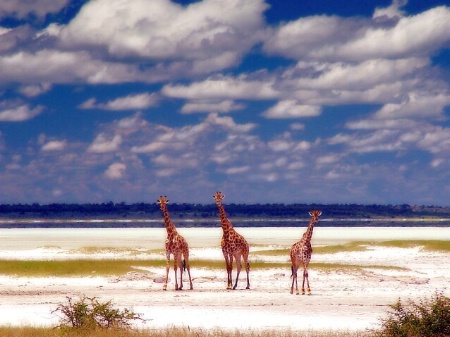 standing on salt, covered by cotton